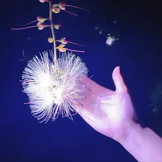 LINE_ALBUM_20220709縺ソ繧・%縺ソ縺浩220902_264