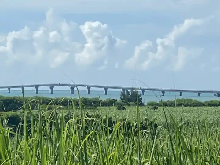 LINE_ALBUM_20220709縺ソ繧・%縺ソ縺浩220902_154